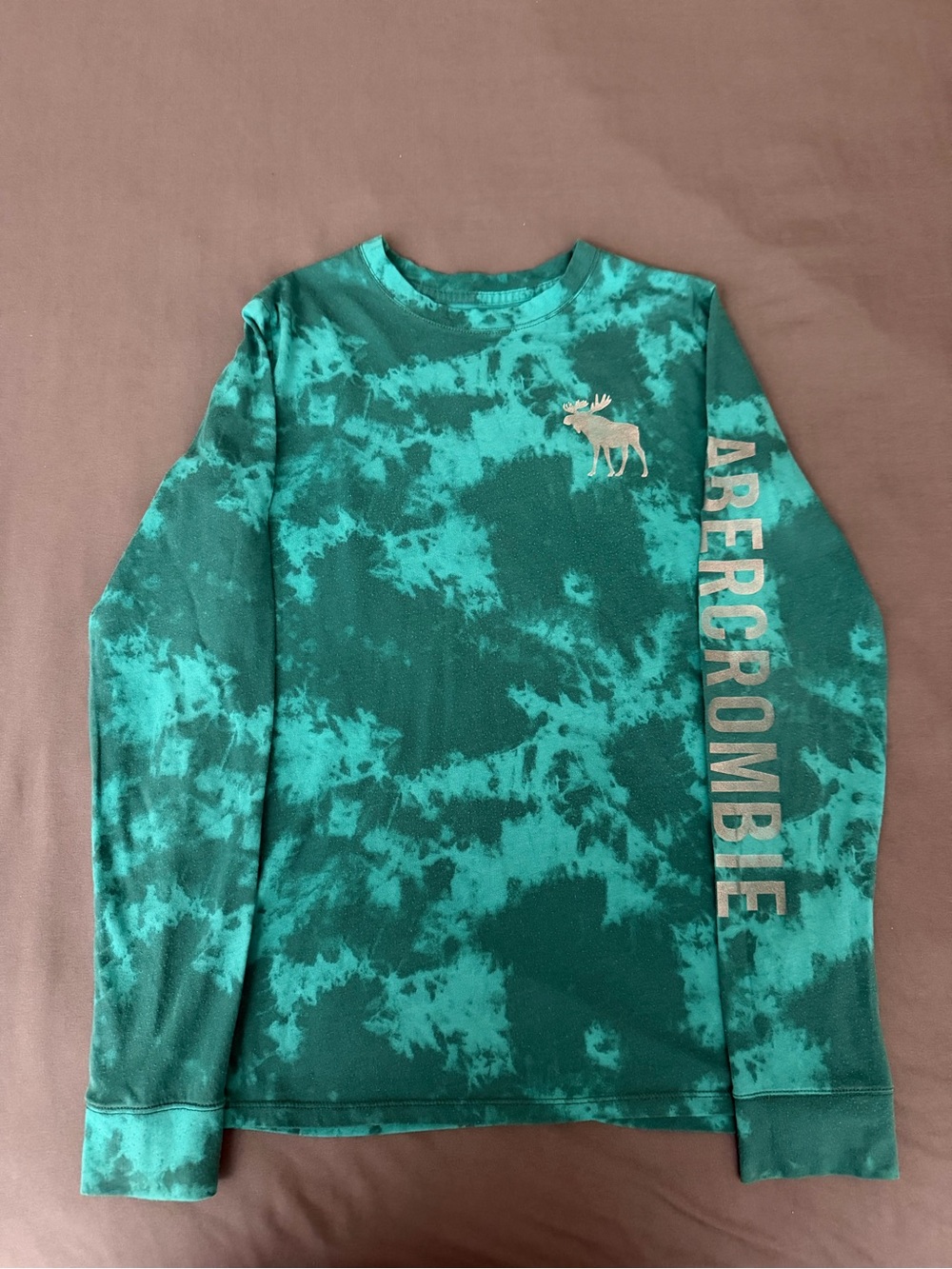 Abercrombie Kids Tie-Dye Long Sleeve Tee – Green/Teal Moose Graphic - Size 13/14